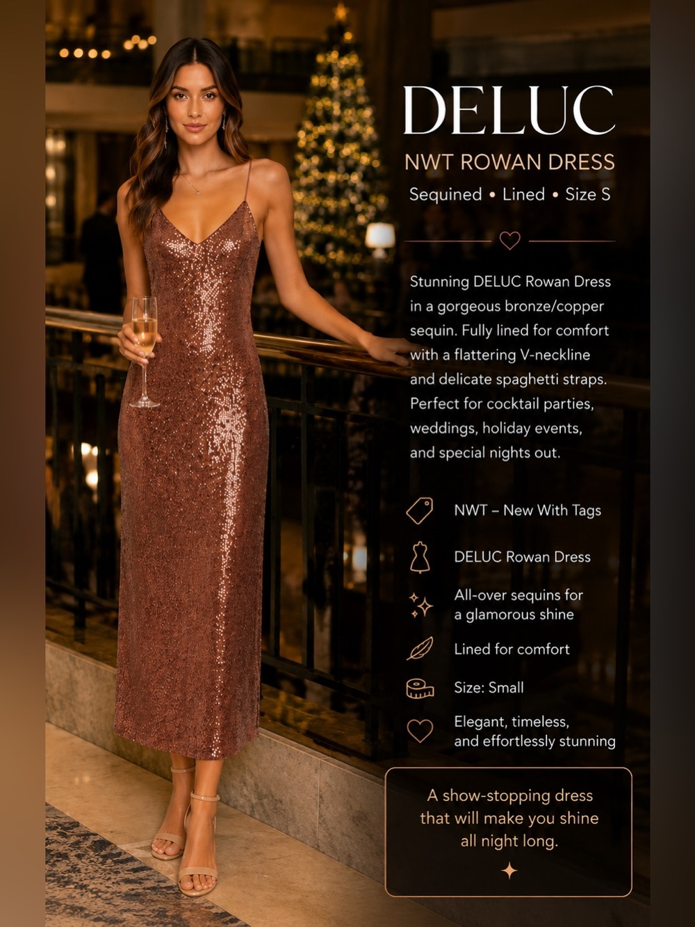 DELUC NWT Rowan Dress Sequined Lined size S.